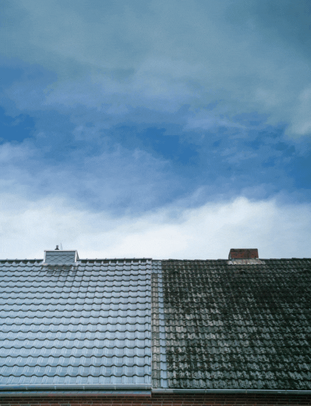 Technicien en train de nettoyer une toiture avec un équipement professionnel – Service de nettoyage de toiture CSProMaison à Bourg-de-Péage